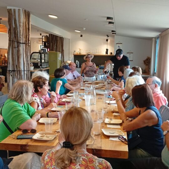 טעימות גבינה וסיורי חווה