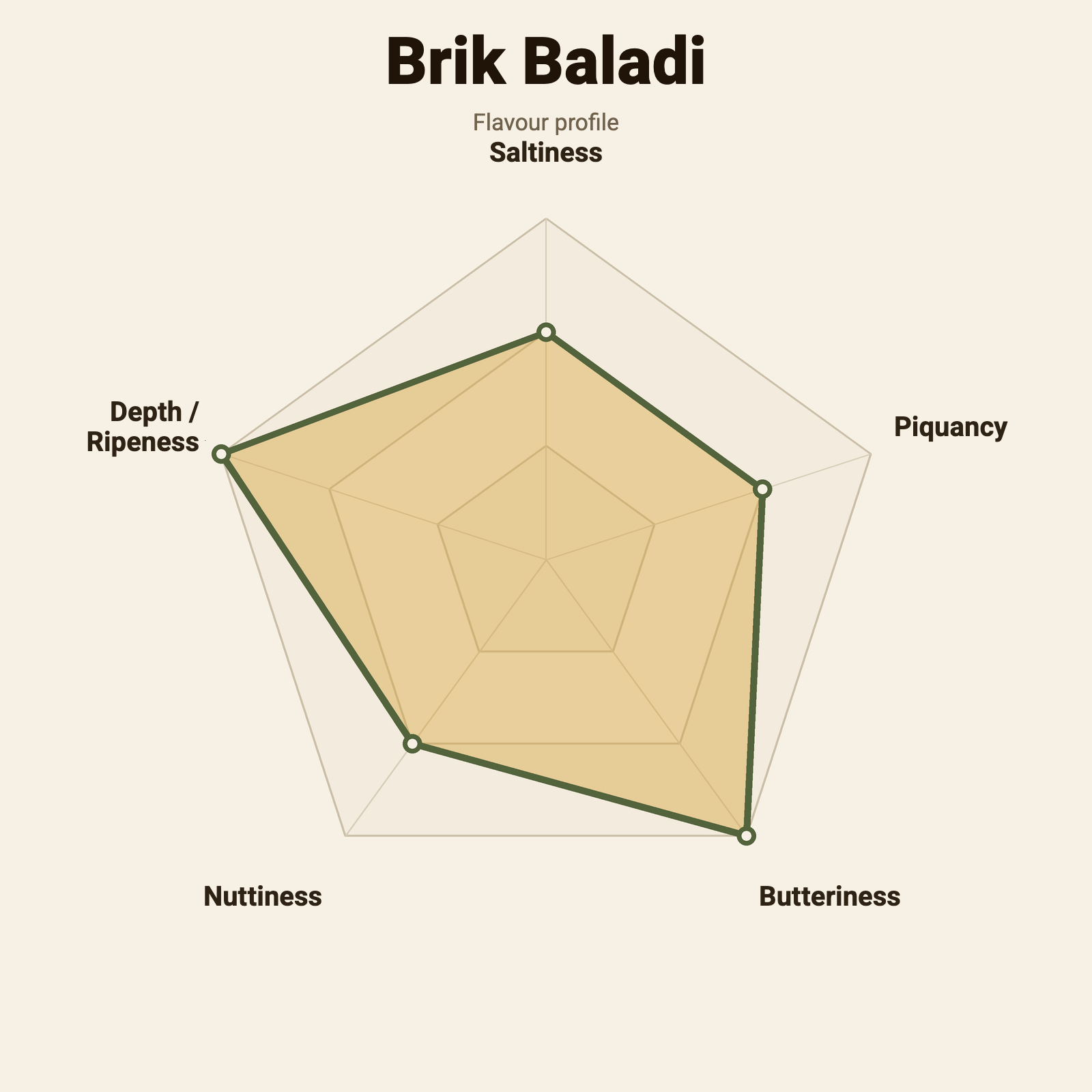 Flavour wheel – Brik Baladi