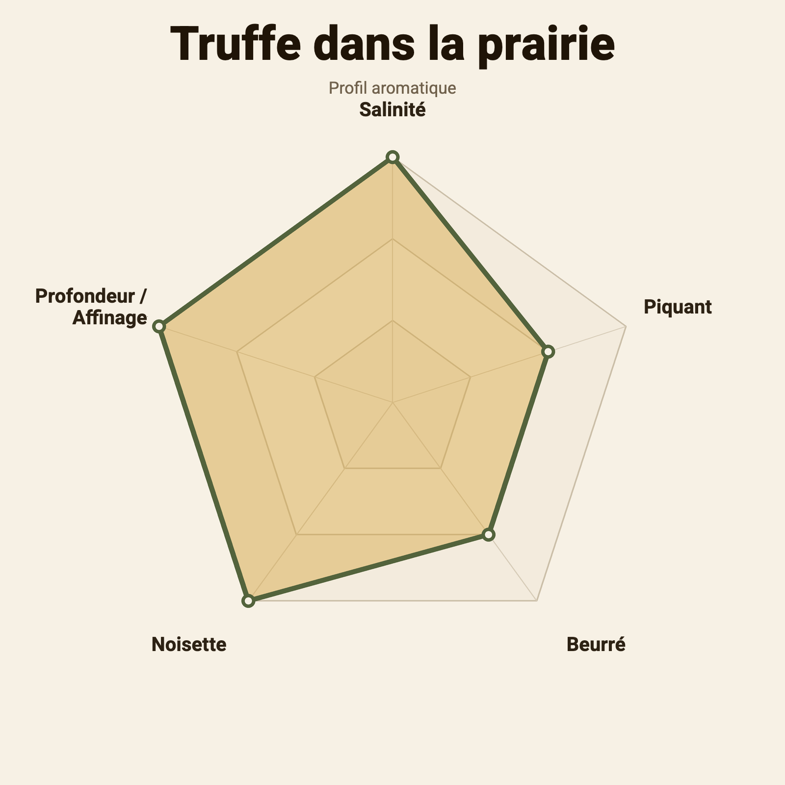 Roue des saveurs – Truffe dans la prairie