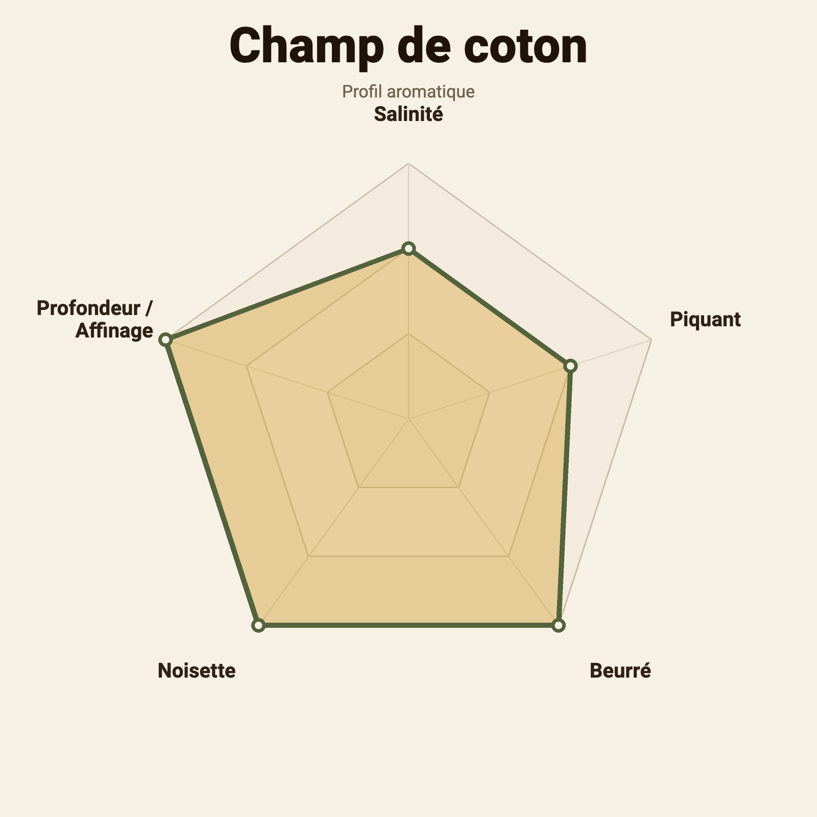Roue des saveurs – Champ de coton
